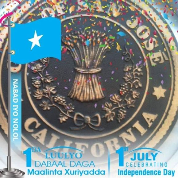 Meet your Posher, Ahmed - Picture 1 of 1